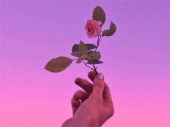 2020正能量奮斗的句子,夫妻正能量奮斗的句子,早安正能量奮斗的句子