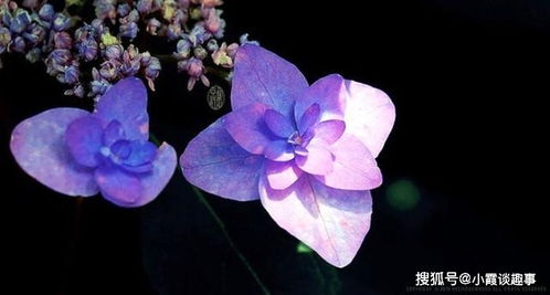 積極向上的句子陽(yáng)光正能量青春人生