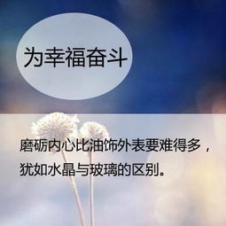 感恩公司勵志正能量的句子