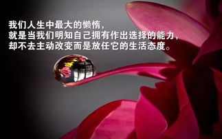 早上勵志的說說正能量經(jīng)典句子2021