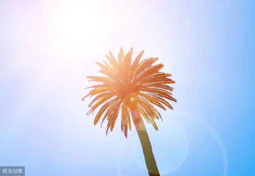 朋友圈晚安正能量的句子,發(fā)朋友圈被秒贊的正能量句子,朋友圈必點(diǎn)贊正能量的句子