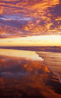 句子,追逐,能量,夢(mèng)想