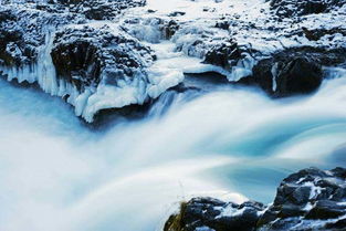 迎著陽(yáng)光的正能量句子,生活陽(yáng)光正能量的句子,陽(yáng)光勵(lì)志正能量的句子