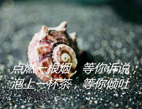 經(jīng)典接地氣正能量句子