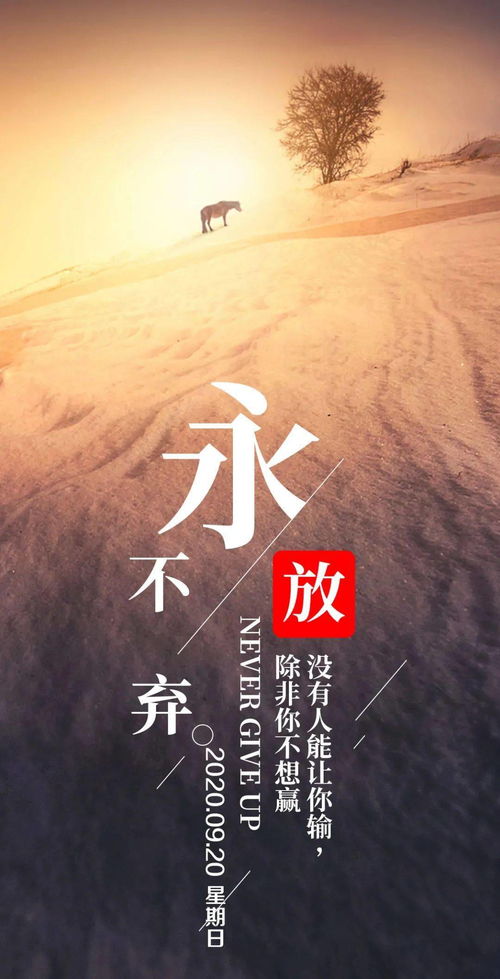 下午發(fā)朋友圈的句子正能量陽(yáng)光