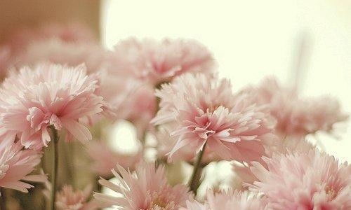 句子,拼搏,滿滿,能量