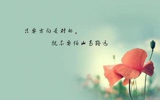 戀愛正能量句子說說心情,戀愛正能量句子勵志短句子,戀愛正能量的句子