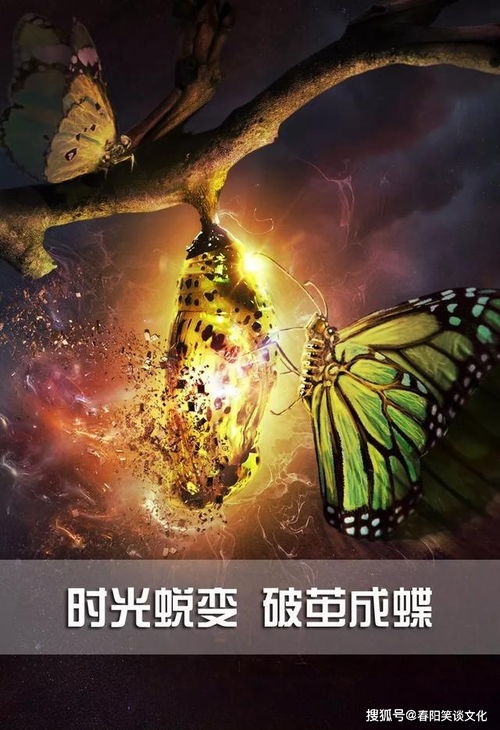 致青春正能量的句子,積極向上的句子青春正能量生活,關(guān)于堅持的正能量句子勵志簡短