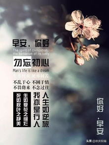 句子,朋友圈,能量,經(jīng)典