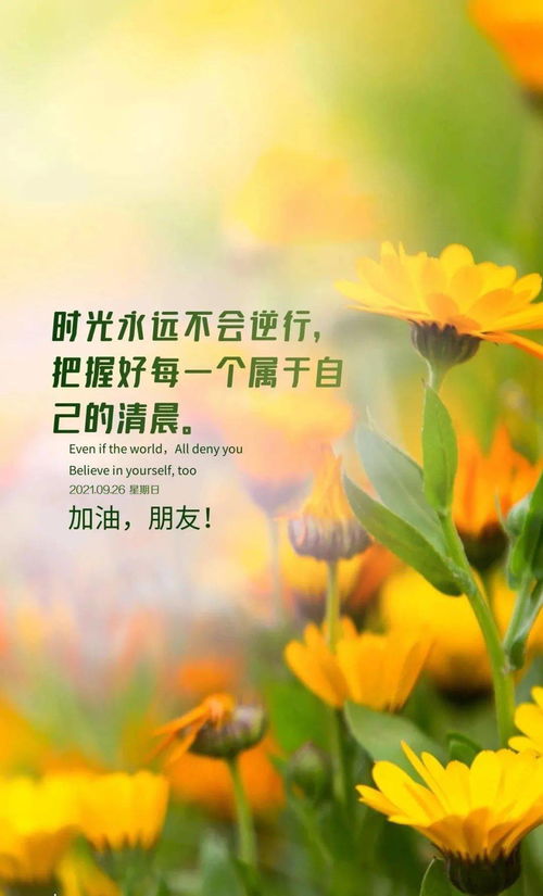 正能量的句子早安語錄人生感悟