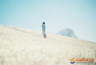 銷售正能量的句子經(jīng)典語句,銷售努力正能量句子,激勵銷售團隊正能量的句子