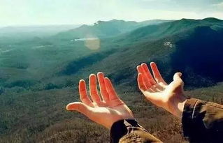 離職正能量的句子