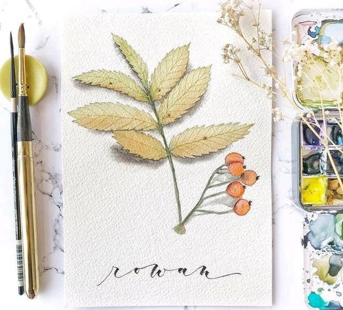 心態(tài)正能量的句子心平氣和