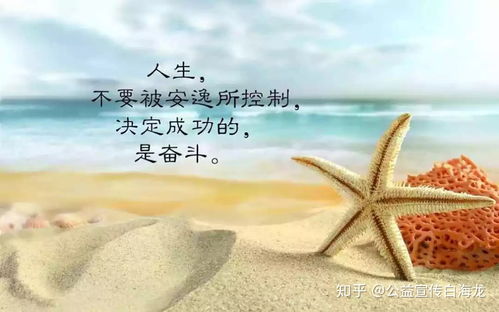 比較火的正能量句子