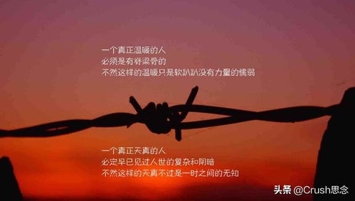 形容團(tuán)隊(duì)精神的正能量的句子