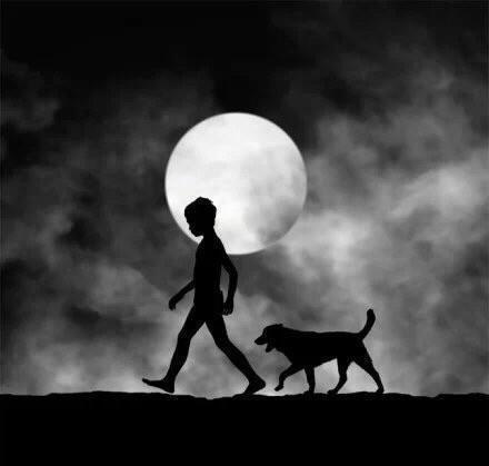 心向陽(yáng)光正能量的句子,心向陽(yáng)光正能量的句子朋友圈,心向陽(yáng)光正能量的簡(jiǎn)短句子