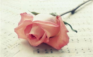 人生誰(shuí)都不如意正能量的句子