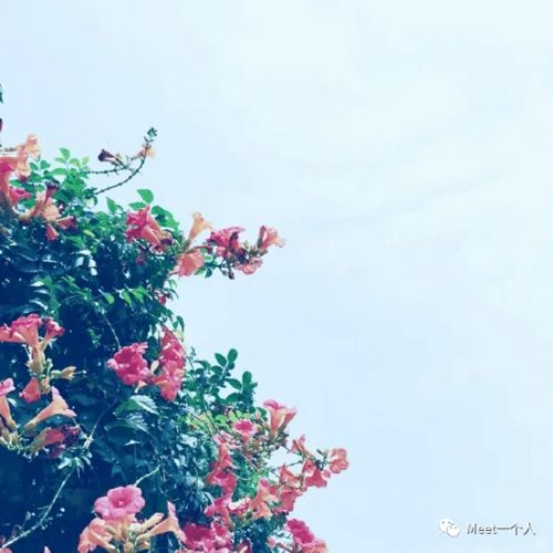 環(huán)境艱難的正能量的句子