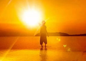 句子,能量,理想