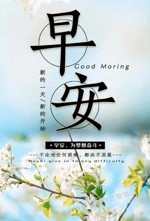 有正能量句子早安說說心情短語