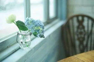 句子,能量,傷感,古代