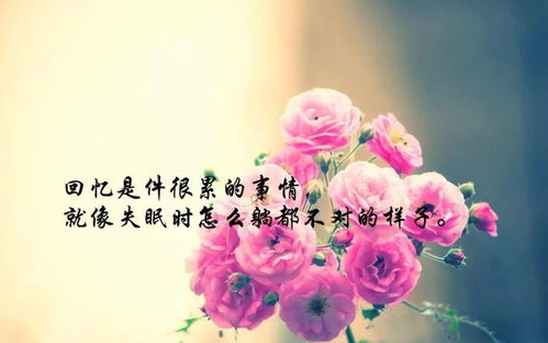 句子,能量,忘記