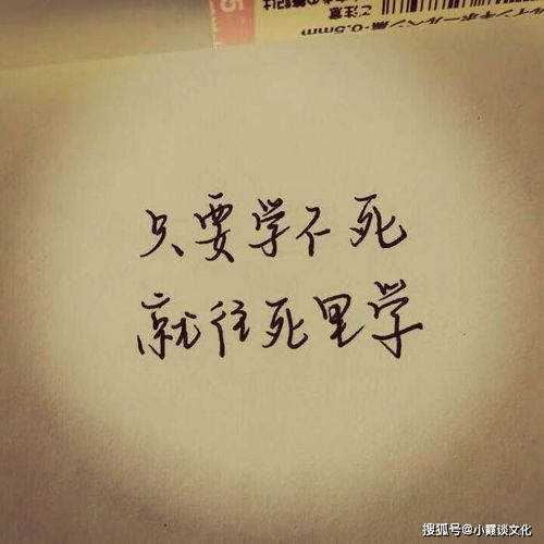 佛語正能量的句子經(jīng)典