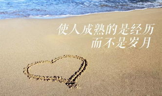 句子,感恩,能量