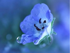 谷雨正能量句子,雨天幽默正能量的句子,正能量滿滿的勵志句子