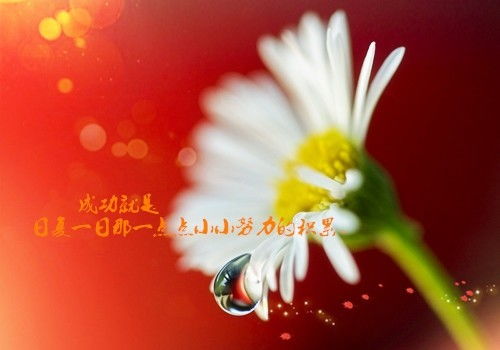 團(tuán)隊(duì)精神,句子,能量