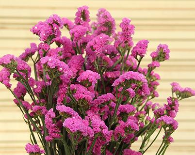 兒童慈善日活動(dòng)正能量句子