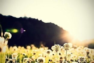 適合發(fā)微信朋友圈的正能量句子說說6