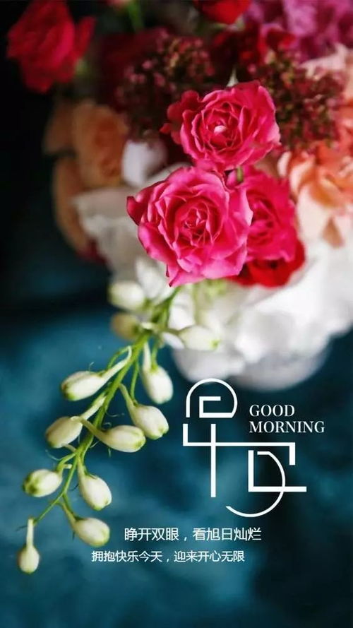 適合女人早上發(fā)圈的正能量句子,早上發(fā)圈的正能量和句子,適合早上發(fā)圈的句子,句句正能量