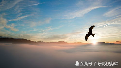 鼓勵(lì)正能量的句子經(jīng)典語錄,投資正能量的句子經(jīng)典語錄,佛教正能量的句子經(jīng)典語錄