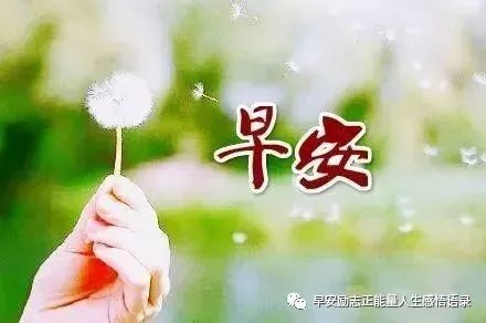 早安正能量的朋友圈說說的句子,早安正能量說說短句子,霸氣正能量的早安說說句子