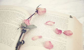 耶穌說(shuō)的正能量的句子