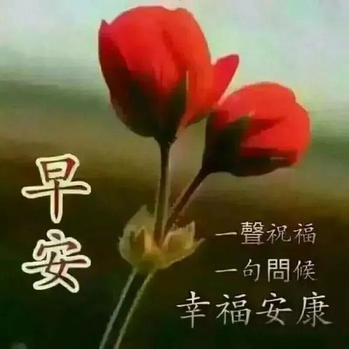 句子,滿滿,能量,問候