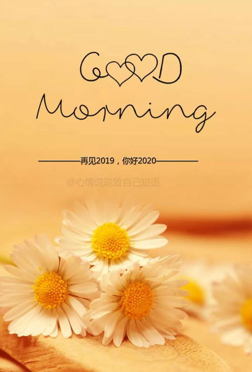 正能量簽名簡短唯美句子,護士正能量的句子簡短唯美,樂觀正能量的句子簡短唯美