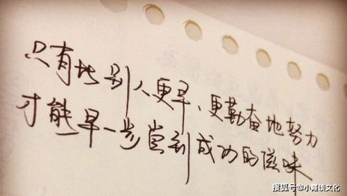 形容一個(gè)人充滿正能量的句子,形容自己充滿正能量的句子,迎著太陽的正能量句子
