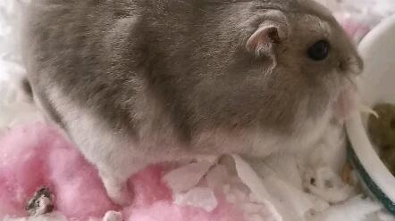 句子,滿滿,早上起來,能量