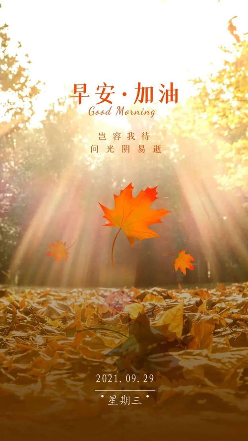 最新勵(lì)志早安正能量的句子,勵(lì)志的早安語(yǔ)正能量句子,早安勵(lì)志正能量滿(mǎn)滿(mǎn)的句子朋友圈