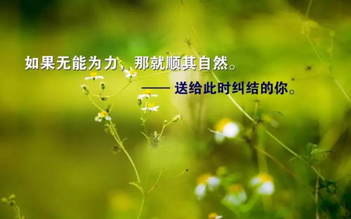 勵(lì)志句子正能量早上好