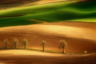 正能量的句子團(tuán)隊(duì)協(xié)作