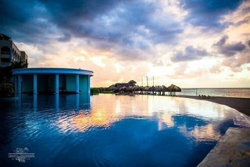 企業(yè)激勵(lì)員工正能量的句子,餐飲激勵(lì)員工正能量的句子,激勵(lì)員工正能量的句子經(jīng)典語(yǔ)句