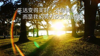 關(guān)于愛情勵志正能量的英文句子