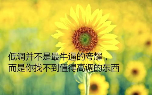 發(fā)朋友正能量好句子和大全