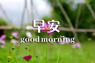 正能量句子勵(lì)志短句子早安心語(yǔ),正能量句子勵(lì)志短句子朋友圈早安,正能量句子勵(lì)志短句子早安