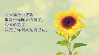 工作積極向上的正能量句子