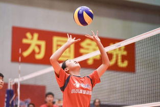 排球,句子,運(yùn)動(dòng)員,能量