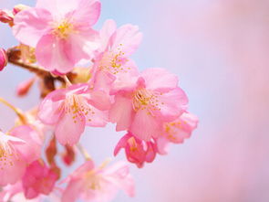 幼兒藝術(shù)正能量句子